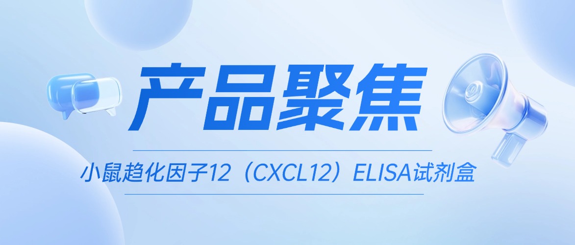 a(chn)Ʒ۽Сڅ12CXCL12ELISAԇ